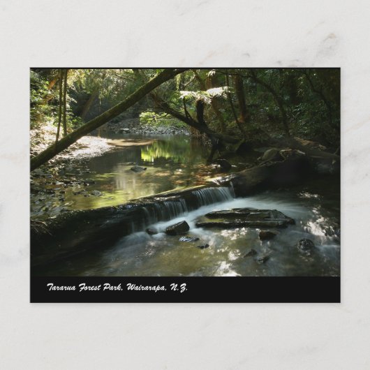 Tararua Forest Park, Wairarapa, N.Z. Briefkaart (Voorkant)