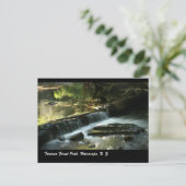 Tararua Forest Park, Wairarapa, N. Z. Briefkaart (Staand voorkant)