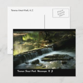 Tararua Forest Park, Wairarapa, N. Z. Briefkaart (Voorkant / Achterkant)