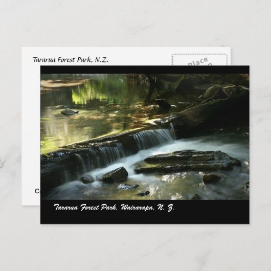 Tararua Forest Park, Wairarapa, N. Z. Briefkaart (Voorkant / Achterkant)