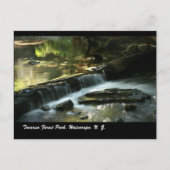 Tararua Forest Park, Wairarapa, N. Z. Briefkaart (Voorkant)