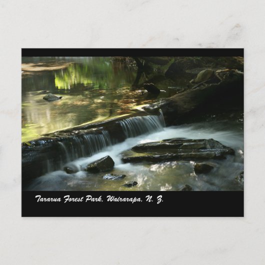 Tararua Forest Park, Wairarapa, N. Z. Briefkaart (Voorkant)
