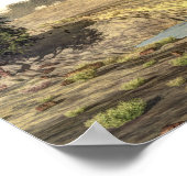 Tarbosaurus dinosaur - 3D rendering Poster (Hoek)