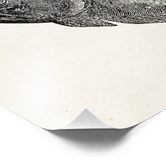  tarbotbot - Sjabloon visserij Foto Afdruk (Hoek)