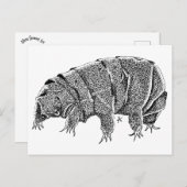 Tardigrade Briefkaart (Voorkant / Achterkant)