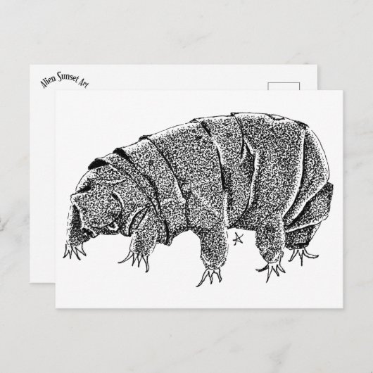 Tardigrade Briefkaart (Voorkant / Achterkant)