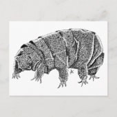 Tardigrade Briefkaart (Voorkant)
