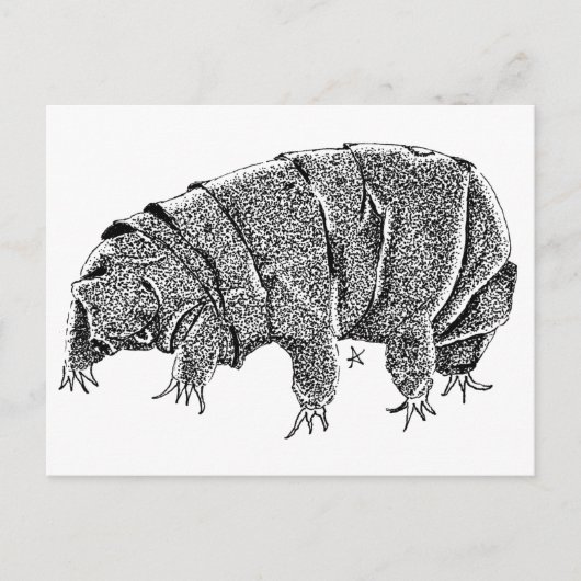 Tardigrade Briefkaart (Voorkant)
