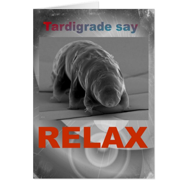 Tardigrade Zeg - Relax. (Voorkant)