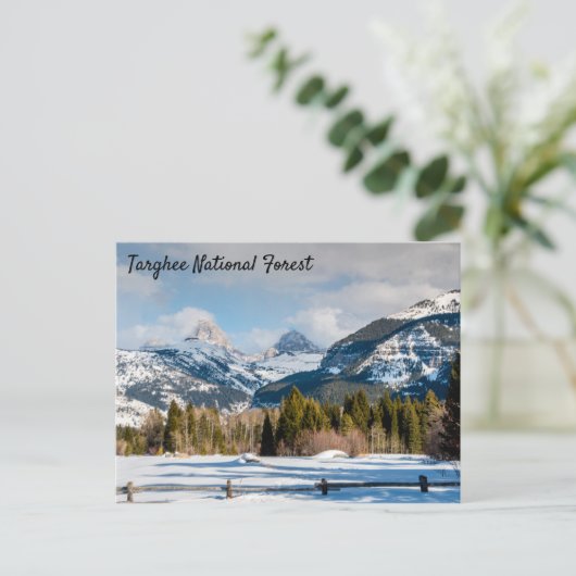 Targhee National Forest Teton uitzicht Briefkaart (Staand voorkant)