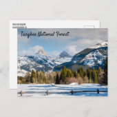 Targhee National Forest Teton uitzicht Briefkaart (Voorkant / Achterkant)