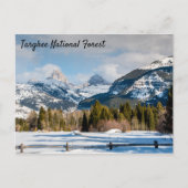 Targhee National Forest Teton uitzicht Briefkaart (Voorkant)