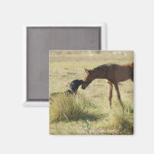 Tarifa, Cadiz, Andalusië, Spanje 2 Magneet (Voorkant / Achterkant)