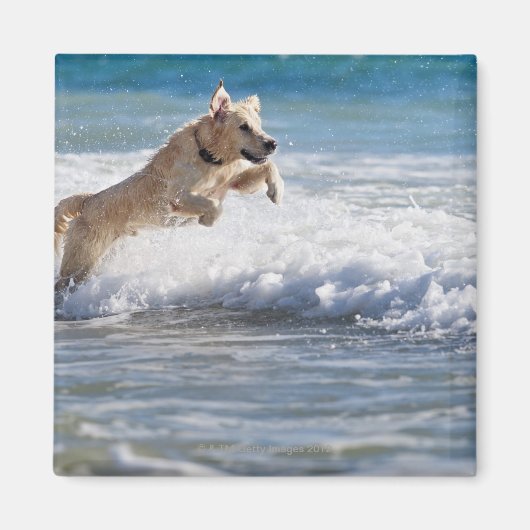 tarifa , cadiz , andalusië , spanje 2 magneet (Voorkant)