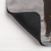 tarifa , cadiz , spanje muismat (Hoek)