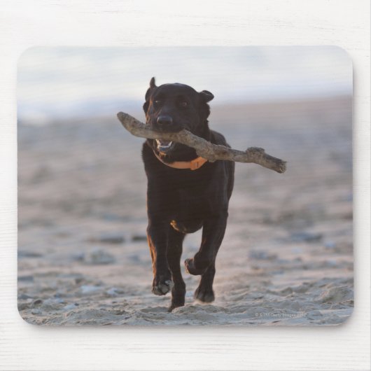 tarifa , cadiz , spanje muismat (Voorkant)