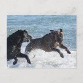 tarifa spanje briefkaart (Voorkant)
