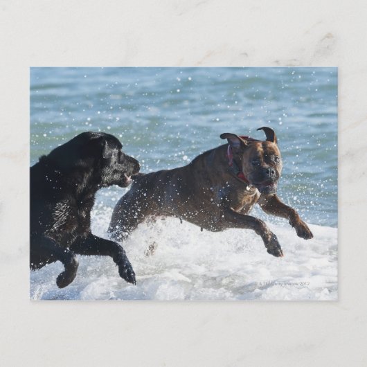tarifa spanje briefkaart (Voorkant)