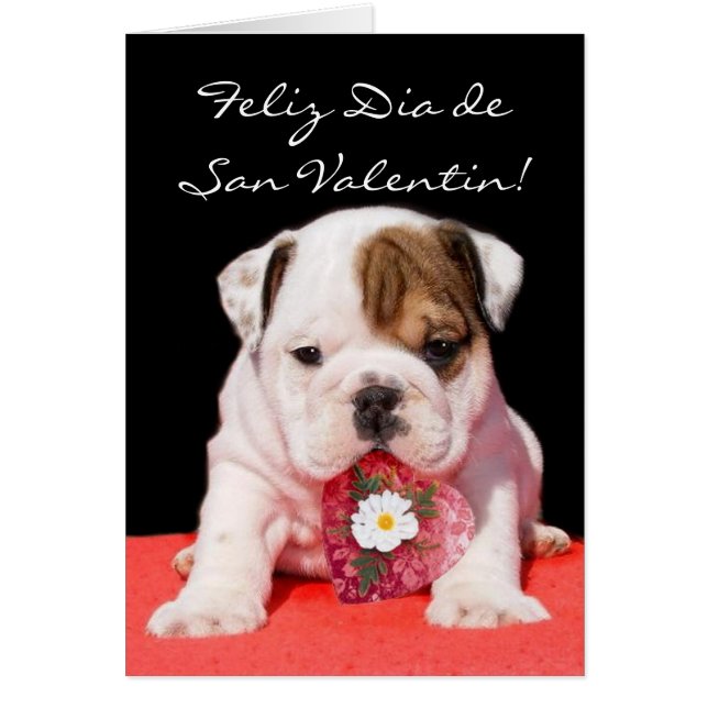 Tarjeta de San Valentin con cachorro bulldog (Voorkant)
