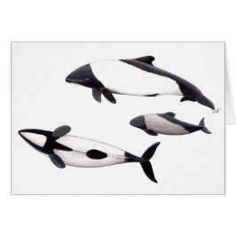Tarjeta Delfin de Commerson o tonina ovejera