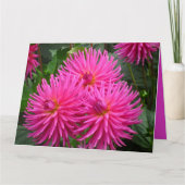 Tarjeta - Feliz Cumpleaños - Las Dalias Rosas Kaart (Voorkant)