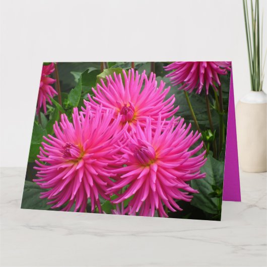 Tarjeta - Feliz Cumpleaños - Las Dalias Rosas Kaart (Voorkant)