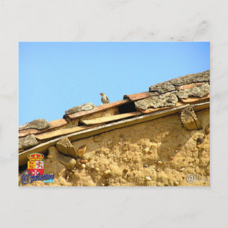 Tarjeta postal briefkaart