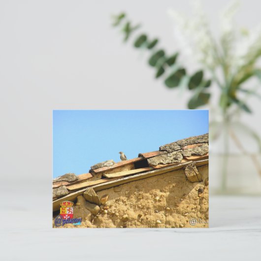 Tarjeta postal briefkaart (Staand voorkant)