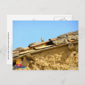 Tarjeta postal briefkaart (Voorkant / Achterkant)