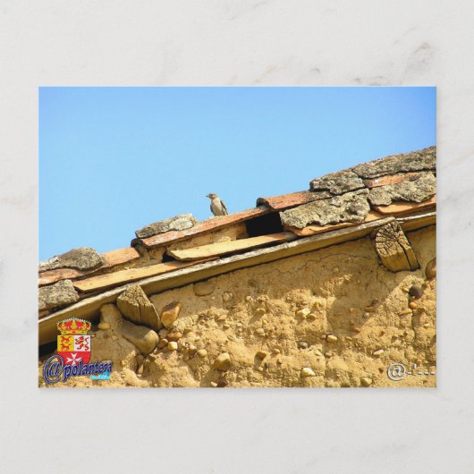 Tarjeta postal briefkaart (Voorkant)