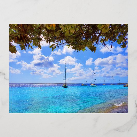 Tarjeta postal de Kralendijk, Bonaire Folie Feestdagen Briefkaart (Voorkant)