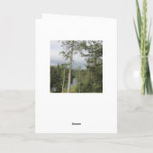 Tarn Hows Bomen Kaart (Achterkant)