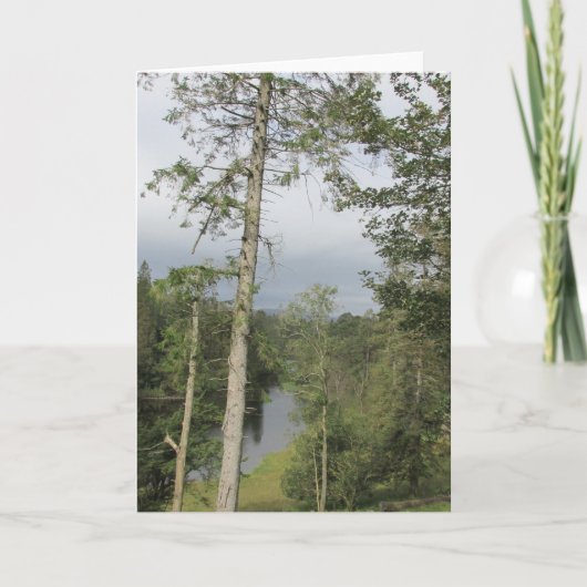 Tarn Hows Bomen Kaart (Voorkant)