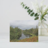 Tarn Hows - Briefkaart van het meer (Staand voorkant)
