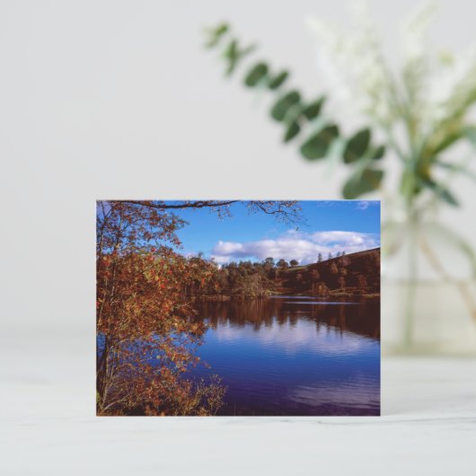 Tarn Hows bright Autumn day Lake District England Briefkaart (Staand voorkant)