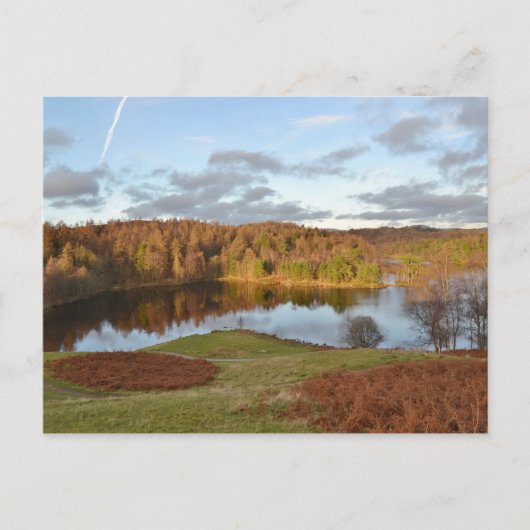 Tarn Hows - English Lake District Briefkaart (Voorkant)