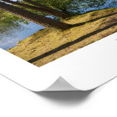 Tarn Hows Poster (Hoek)