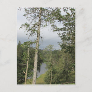 Tarn Hows Trees Briefkaart