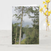 Tarn Hows Trees Kaart (Gele Bloem)