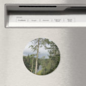 Tarn Hows Trees Magnet (Insitu (Vaatwasser))