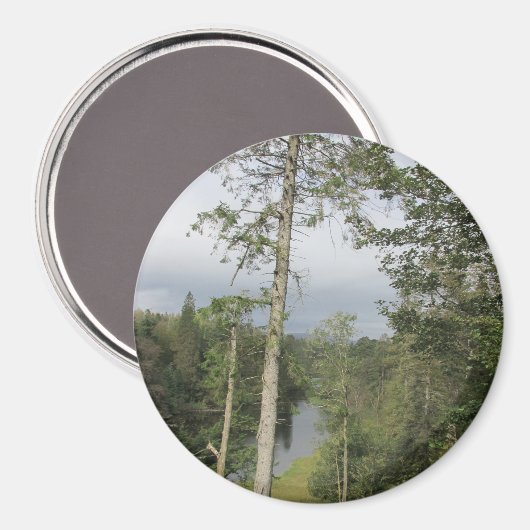 Tarn Hows Trees Magnet (Voorkant / Achterkant)