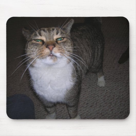 Tarna Muismat (Voorkant)