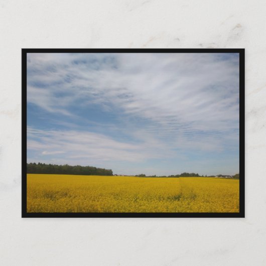 Tarnowskie Góry (Polen) Briefkaart (Voorkant)