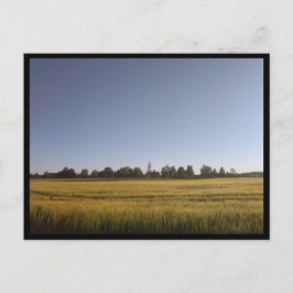 Tarnowskie Góry (Polen) Briefkaart