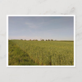 Tarnowskie Góry (Polen) Briefkaart