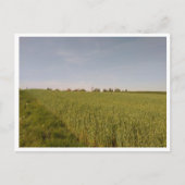 Tarnowskie Góry (Polen) Briefkaart (Voorkant)