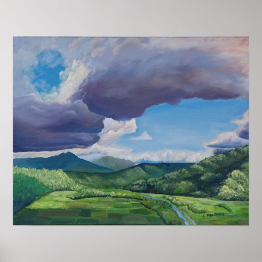 Taro Fields Hanalei Hawaii Oil Painting Poster (Voorkant)