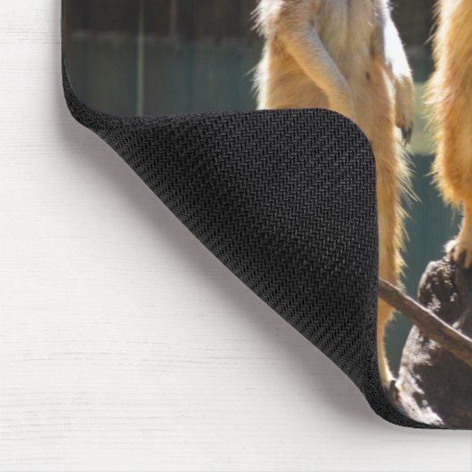 Taronga Western Plains Zoo Dubbo - Meerkat Muismat (Hoek)