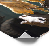 Taronga Western Plains Zoo Dubbo - Meerkat Poster (Hoek)