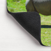 Taronga Western Plains Zoo Dubbo - Rhino Muismat (Hoek)